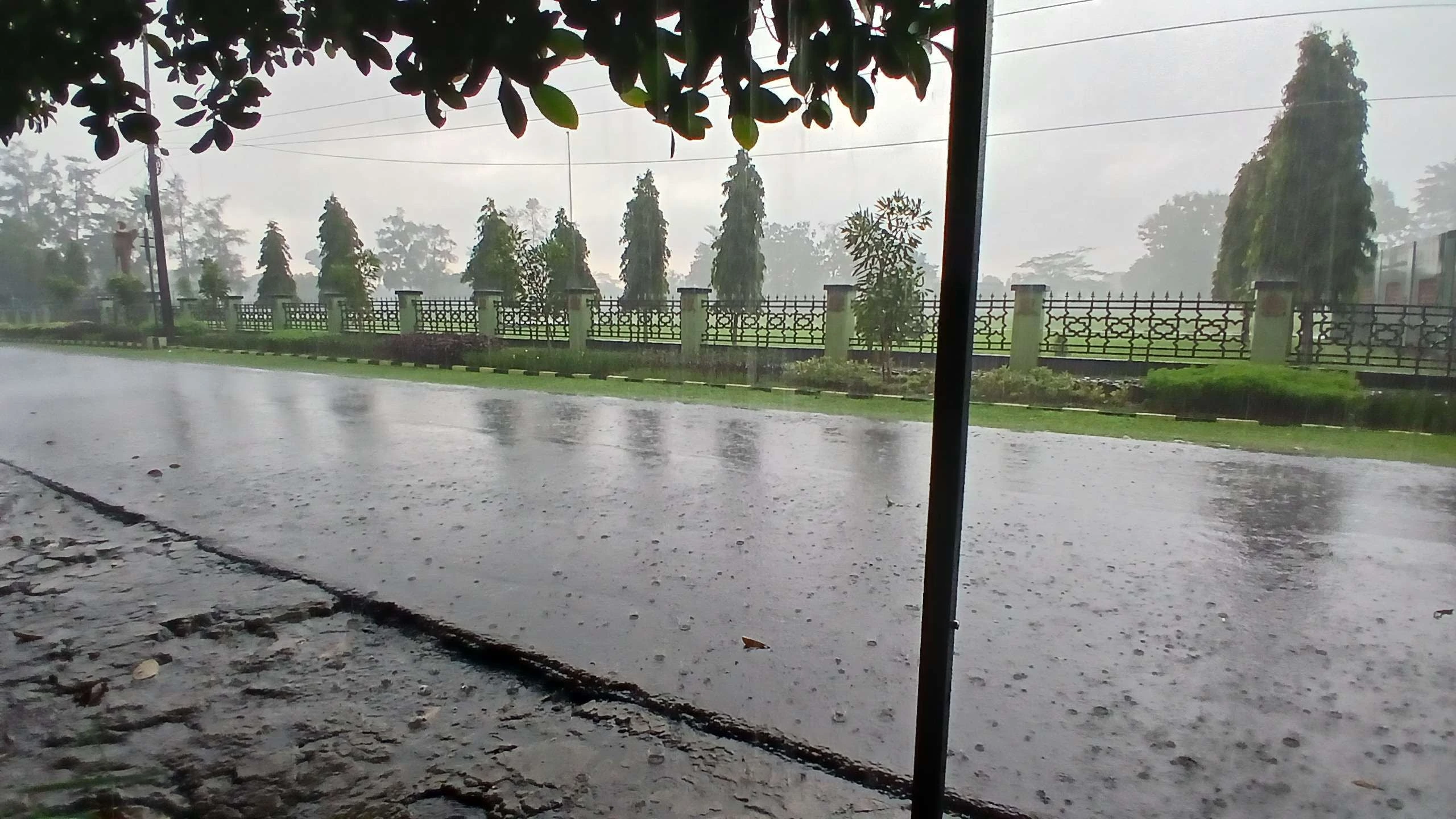 Puncak Bogor Diguyur Hujan